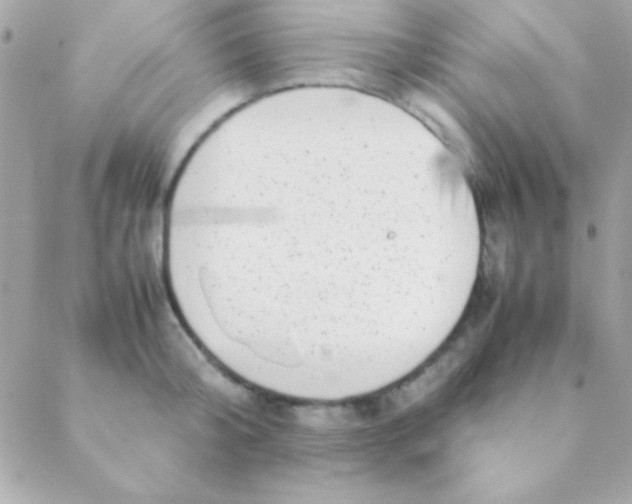 X0000088660804200706152031