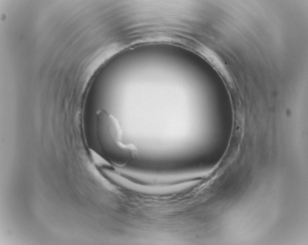 X0000088660805200706152031