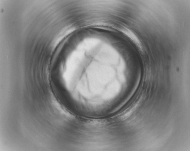 X0000088660806200706152031