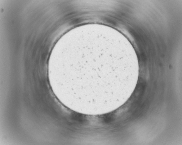 X0000088660807200706152031