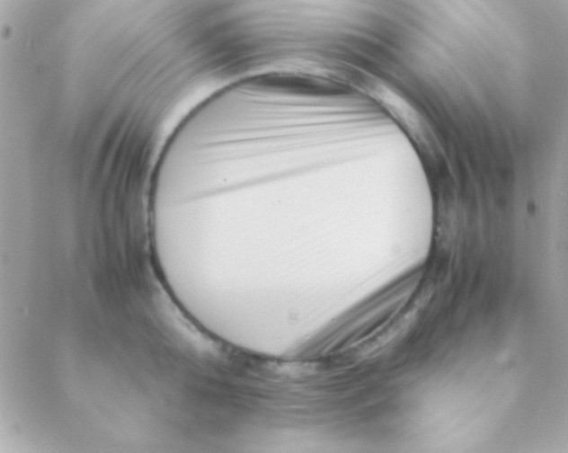 X0000088660808200706152031