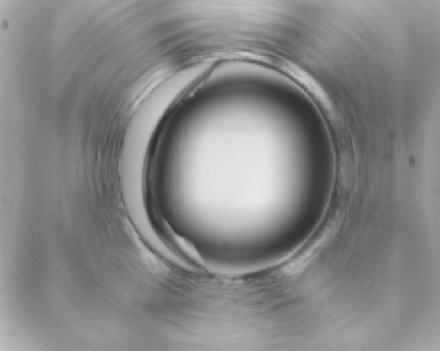 X0000088660809200706152031