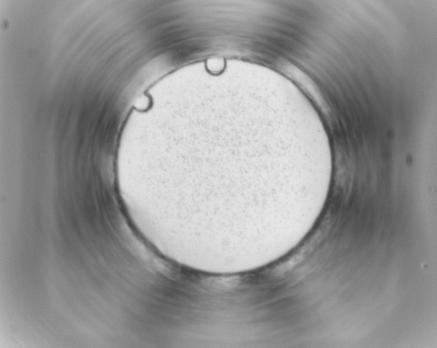 X0000088660810200706152031