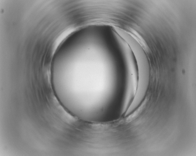 X0000088660812200706152031