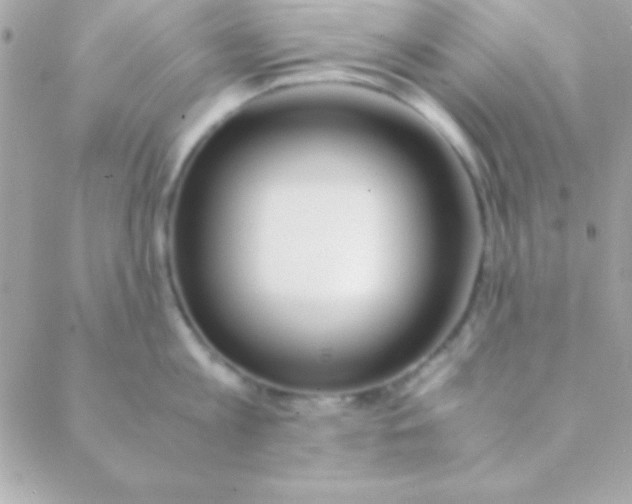 X0000088660813200706152031