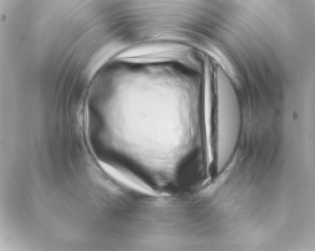 X0000088660814200706152031