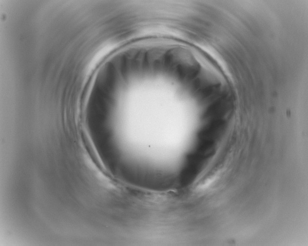 X0000088660815200706152031