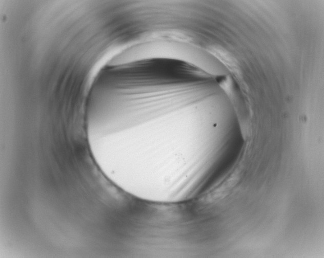 X0000088660816200706152031