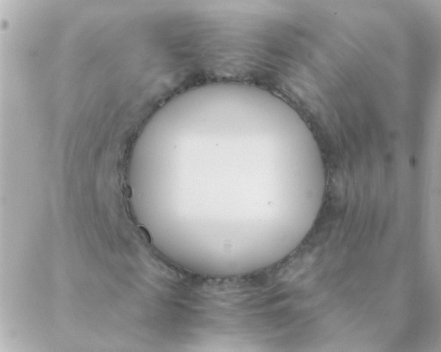 X0000088660817200706152030