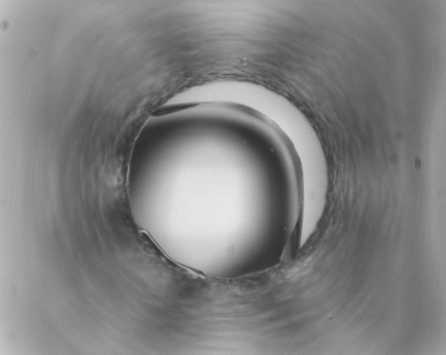 X0000088660818200706152030