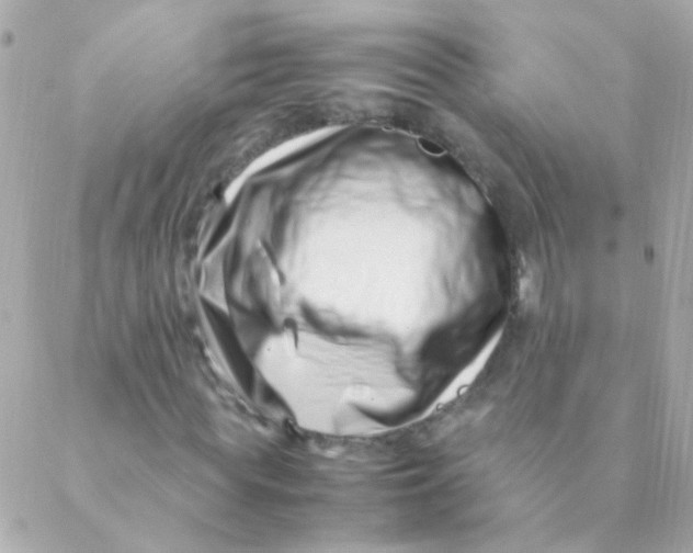 X0000088660819200706152030