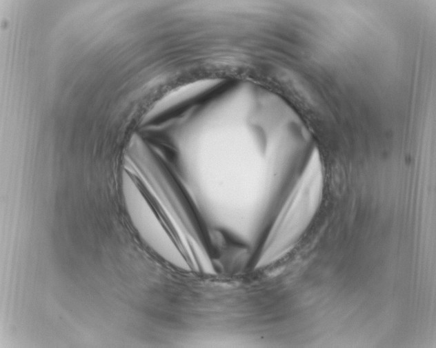 X0000088660821200706152030