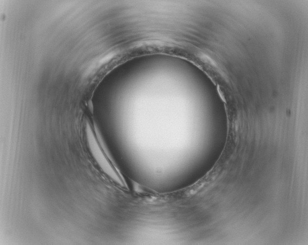 X0000088660822200706152030