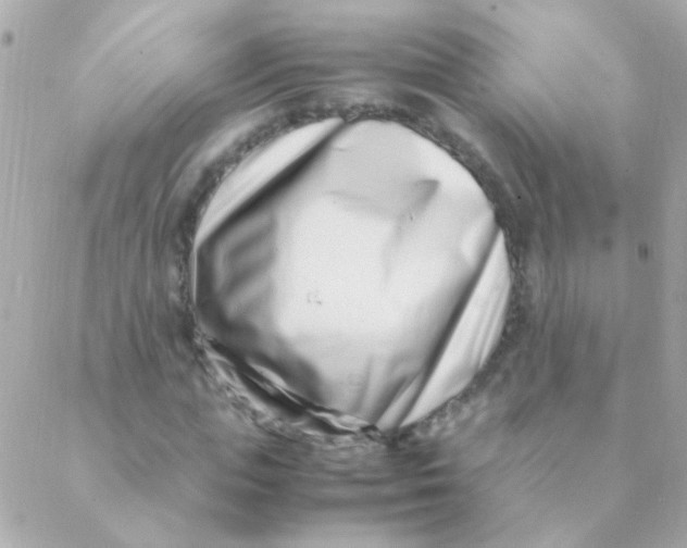 X0000088660823200706152030