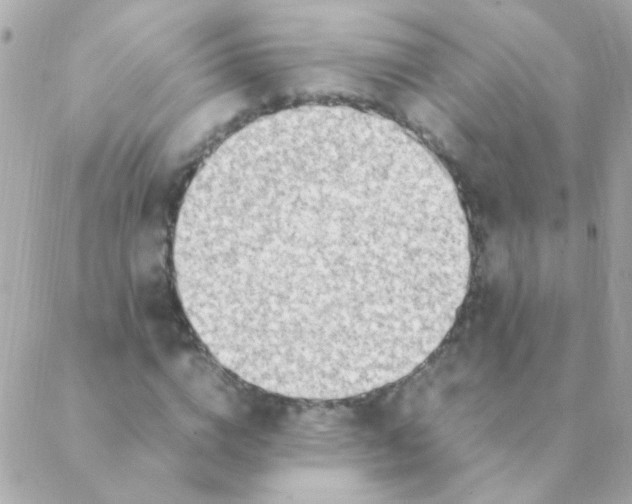 X0000088660824200706152030