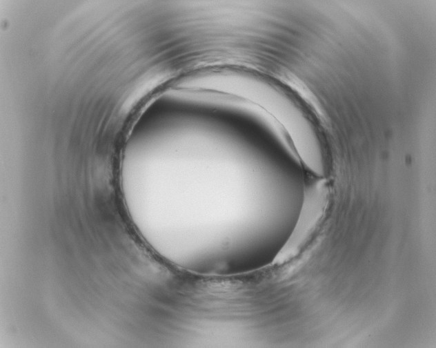 X0000088660826200706152030