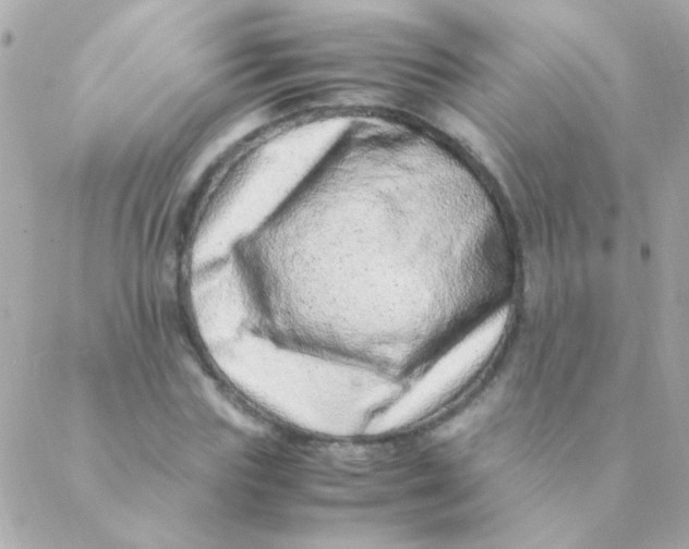 X0000088660827200706152030