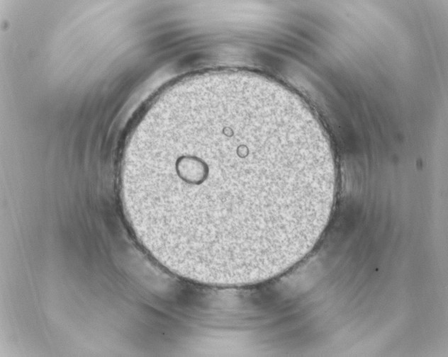 X0000088660828200706152030