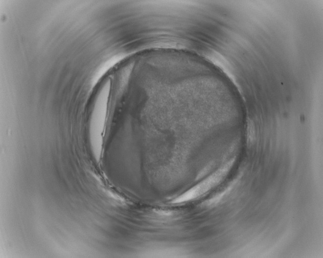 X0000088660829200706152030