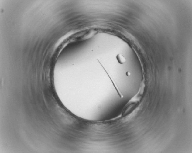 X0000088660830200706152030