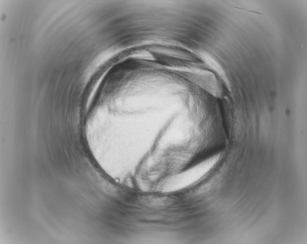 X0000088660831200706152030