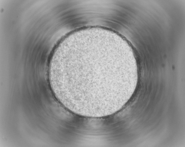 X0000088660832200706152030