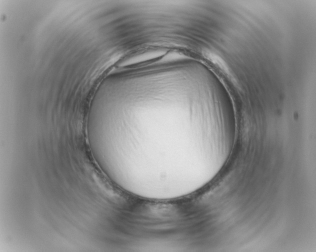 X0000088660833200706152030