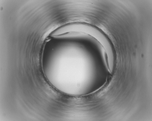 X0000088660834200706152030