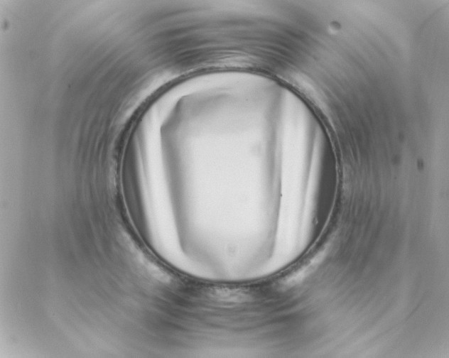 X0000088660835200706152030