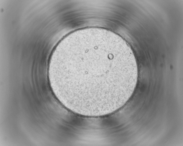 X0000088660836200706152030