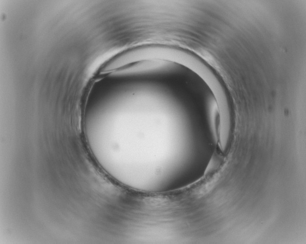 X0000088660838200706152030