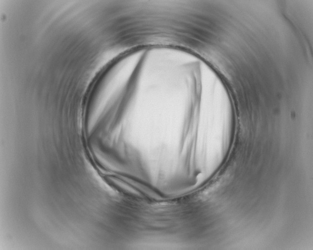 X0000088660839200706152030