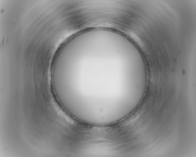 X0000088660840200706152030