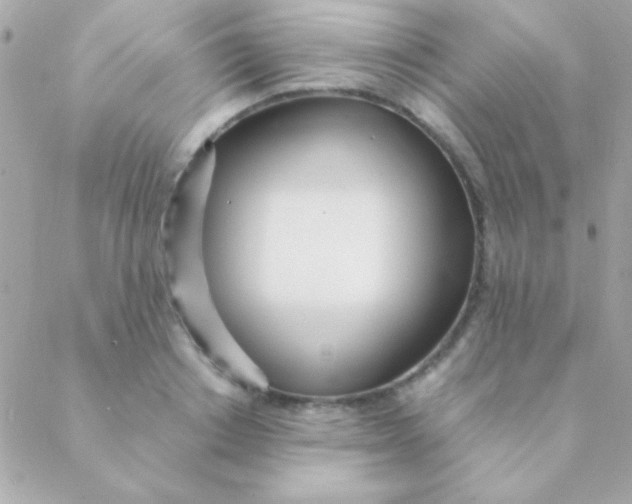 X0000088660842200706152030