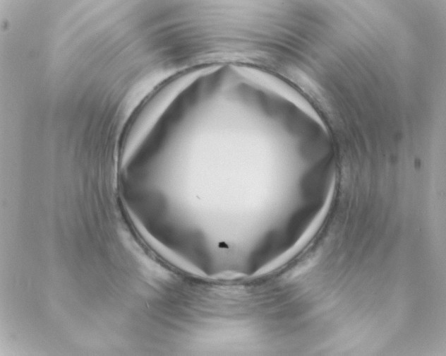 X0000088660844200706152030