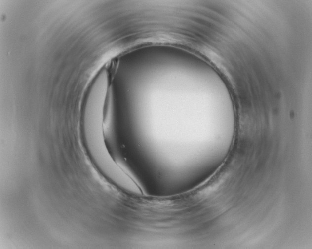 X0000088660845200706152030