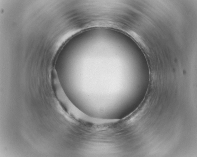 X0000088660846200706152030