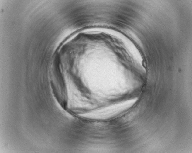 X0000088660847200706152030