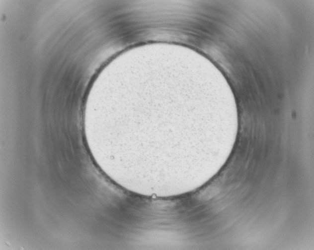 X0000088660848200706152030