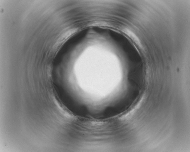 X0000088660849200706152030