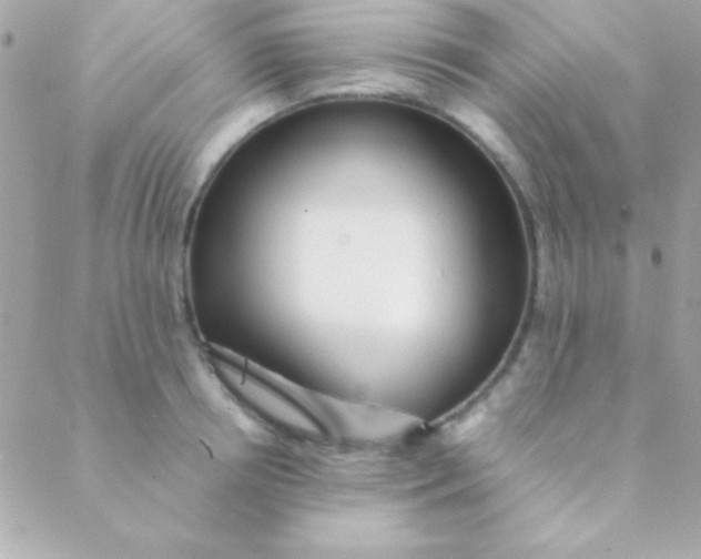 X0000088660850200706152030