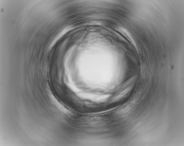 X0000088660851200706152031