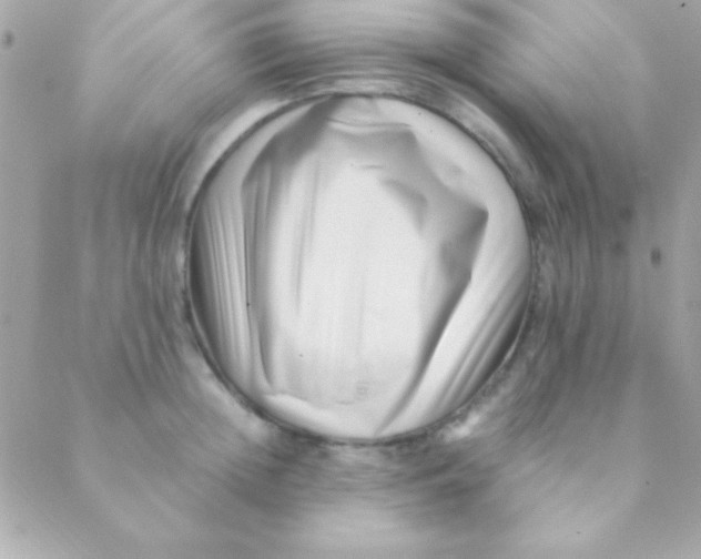 X0000088660852200706152031