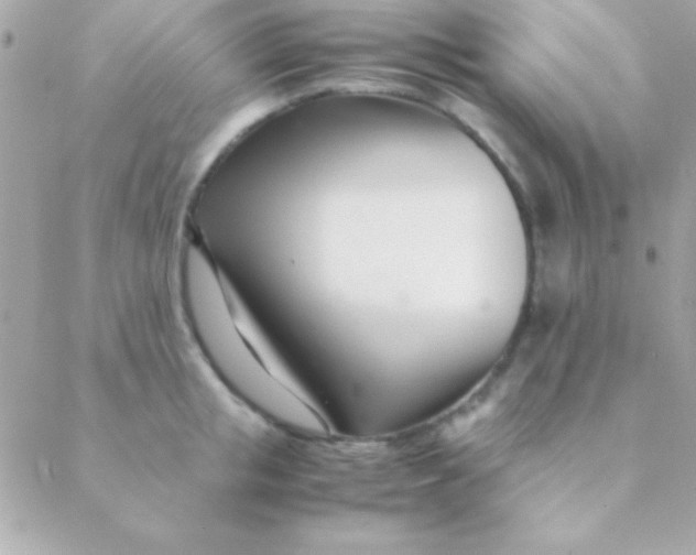 X0000088660853200706152031