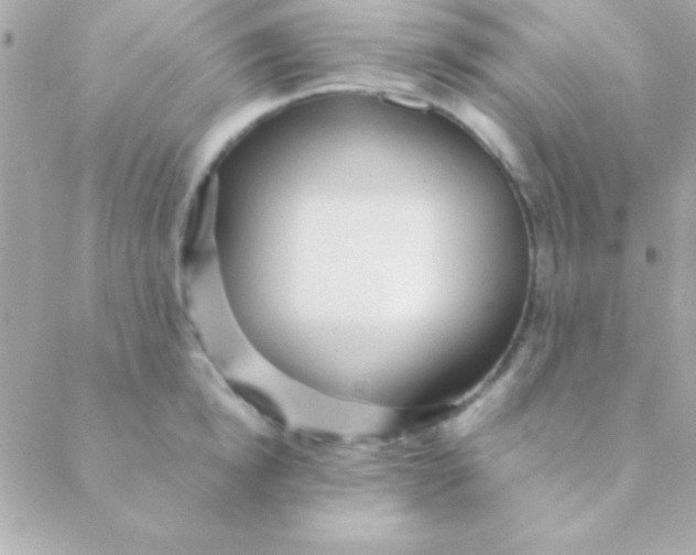 X0000088660854200706152031