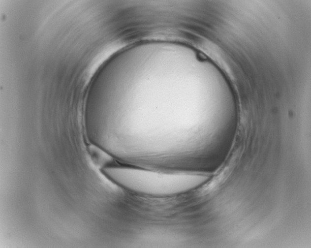 X0000088660855200706152031