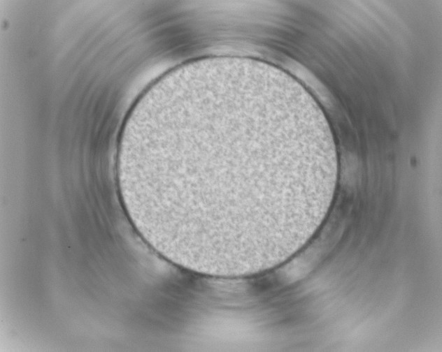 X0000088660856200706152031