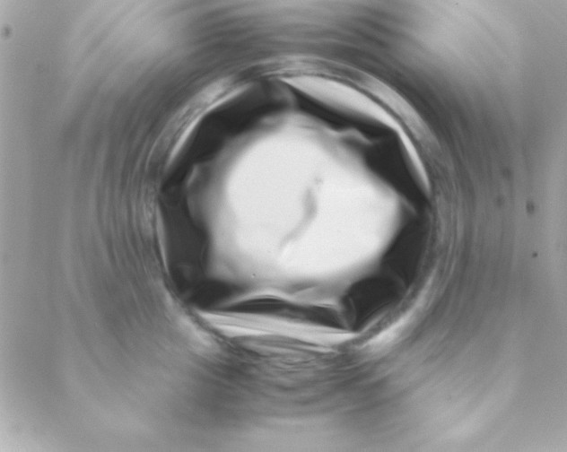 X0000088660857200706152031