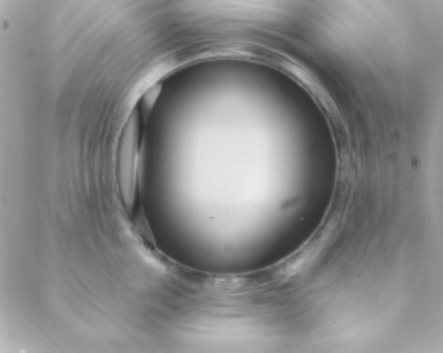 X0000088660858200706152031