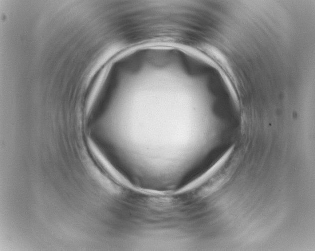 X0000088660859200706152031